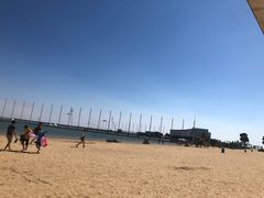 -碧海金沙