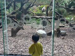 -熊猫自助餐厅.萌趣城堡(长隆熊猫酒店)