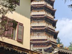 -天目山大树王景区