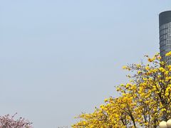 -洲头咀公园