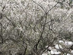 -广东天露山旅游度假区