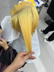 -YESIDO椰岛造型