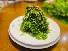 三叶香拌豆丝-那家老院子东北菜·饺子·小鸡炖蘑菇(艳华街店)