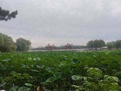 -长春市南湖公园