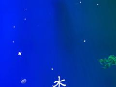 -福州罗源湾海洋世界旅游区