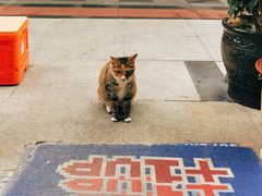 -Jeans Coffee牛仔裤咖啡