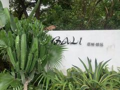 -芭厘农庄老字号·清远鸡