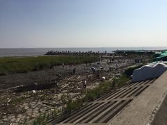 -南汇嘴观海公园