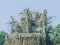 -上海月湖雕塑公园