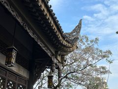 -磁器口古镇