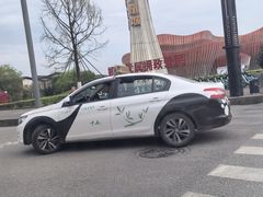 -都江堰中华大熊猫苑