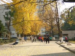 -四川大学华西第四医院