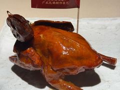 -侨美食家·粤菜(体育西路店)