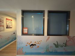 -橘米月子中心(青羊市妇幼店)