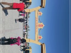 -金塔沙漠胡杨林景区