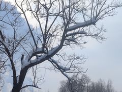 -北京西山滑雪场