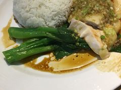 -初心烧鹅(粤华店)