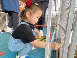 -小蜜蜂农场(凯德七宝购物广场店)