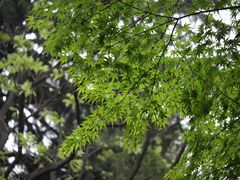 -陕西师范大学(雁塔校区)