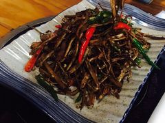 -金陵夜猫子私房菜(茂业天地店)