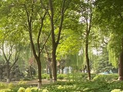 -石家庄市植物园
