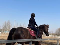 -北京群众马术培训基地