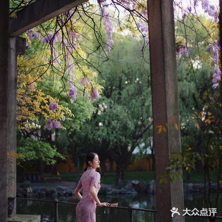 苏州最安静的紫藤花赏花点！