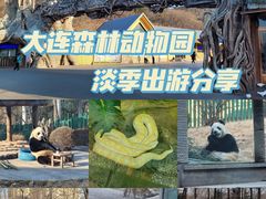 -大连森林动物园