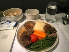 -新加坡航空公司(ION)