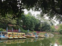 -晓港公园