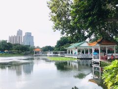 -荔湾湖公园
