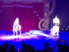 -珠海横琴长隆《卡卡虎奇遇记》