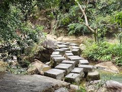 -广州白江湖森林公园