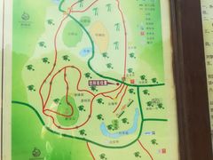 -大屏嶂森林公园