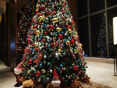 -嘉定凯悦·咖啡厅