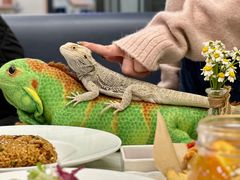 -FAIRYLAND龙族星球主题餐厅(凯丹广场店)