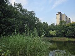 -木塔寺遗址生态公园