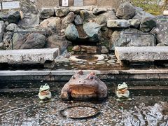 -天龙寺