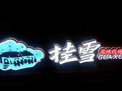 -挂雪铁锅炖大鹅