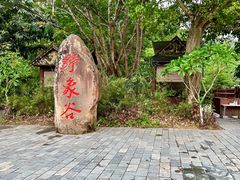 -野象谷景区