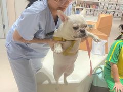 -立德动物医院·24小时中心(番禺区院区)