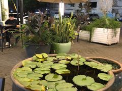 -813芭依珊 BAESAn(皇冠十畝地店)