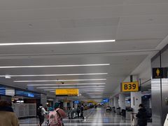 -约翰·菲茨杰拉德·肯尼迪国际机场