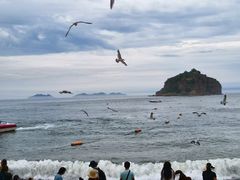 -棒棰岛宾馆景区