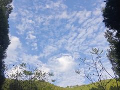 -四门塔风景区