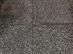 -洪氏嗨捞·猪肚鸡火锅(阳光天地店)