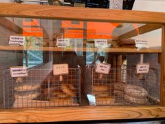 -Catch Bagel(芳草地店)