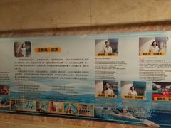 -齐汇维景大酒店游泳馆(山东政协大厦齐汇维景)