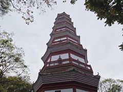 -分塔山省级森林公园