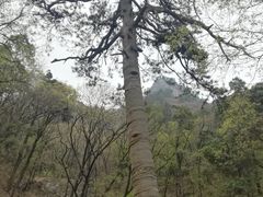 -北京上方山国家森林公园